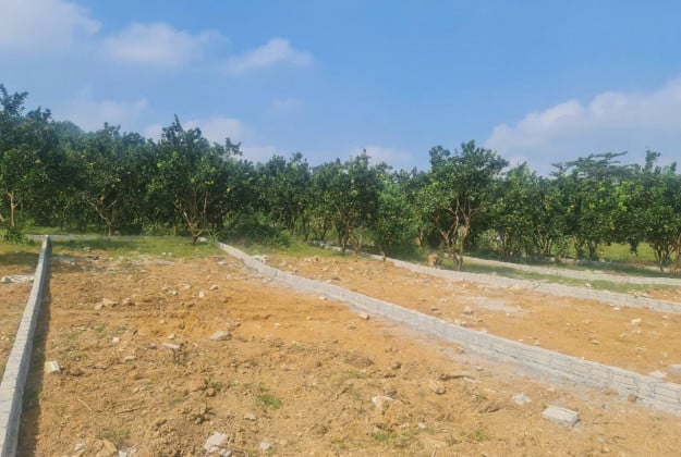 Bán nhanh 215m2 đất thổ cư, đường Bà Triệu, Tân Xuân, Hóc Môn, giá 1 tỷ 350