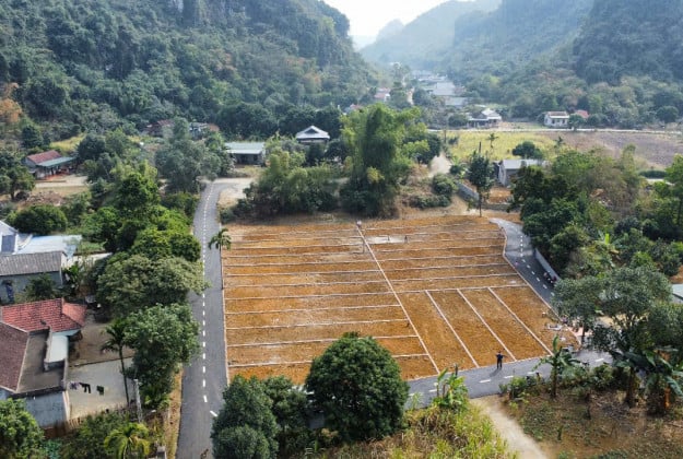 Bán đất thổ cư 100 m2 tại đường Bùi Thị Cúc, thị trấn Bần Yên Nhân, Mỹ Hào, Hưng Yên
