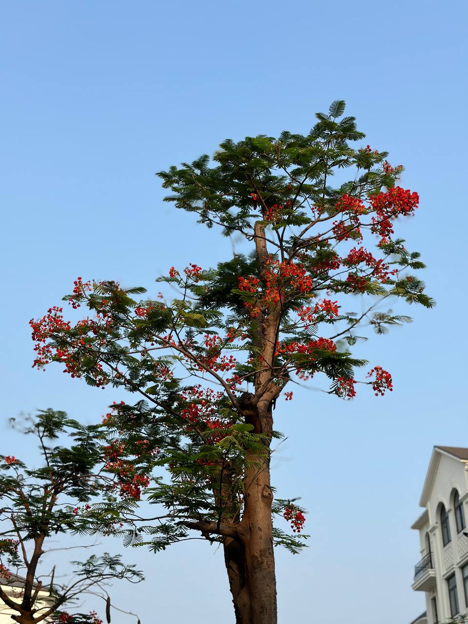 thuviennhadat.vn