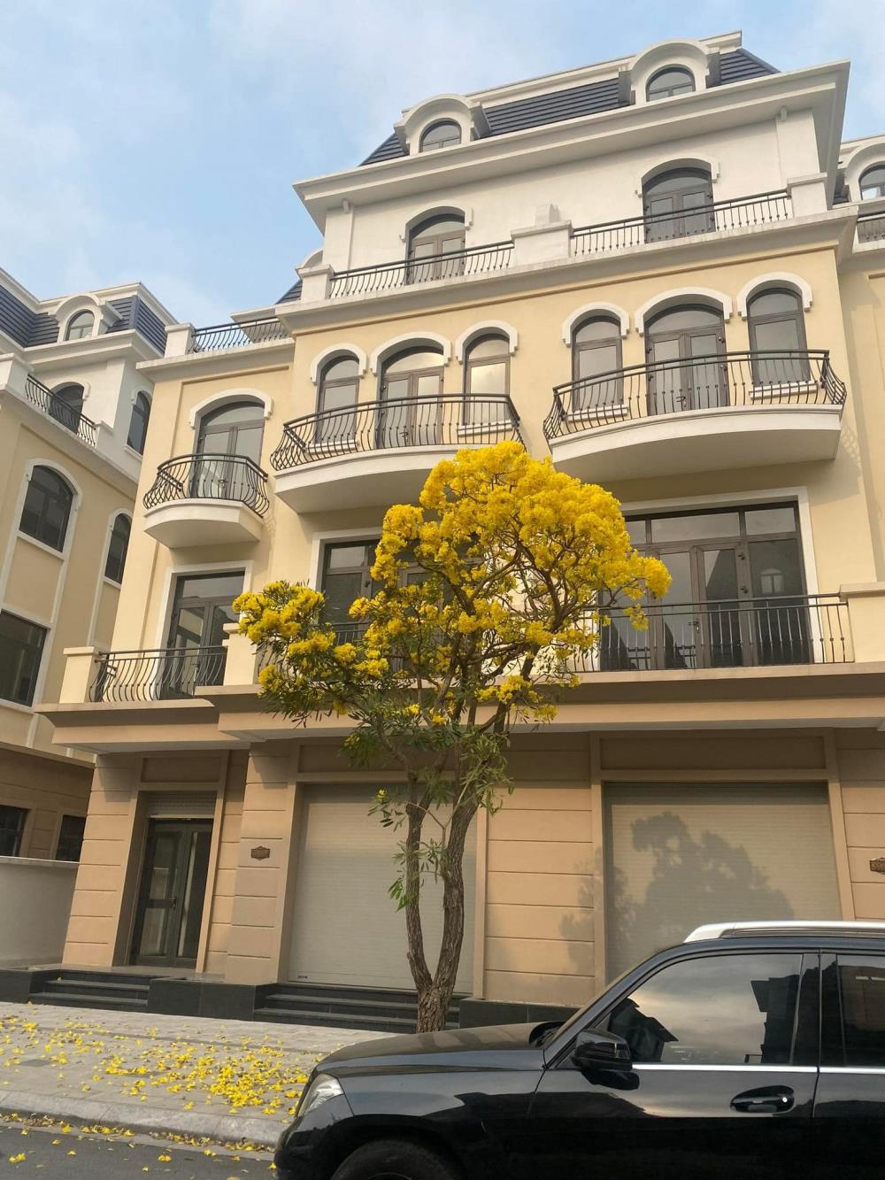 (Lô góc) bán biệt thự Vinhomes Wonder City Đan Phượng hd20 02 lô góc 144mx4t mt