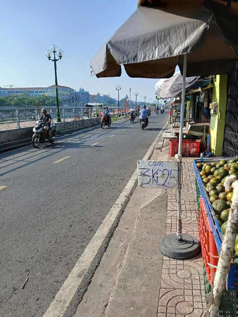 thuviennhadat.vn