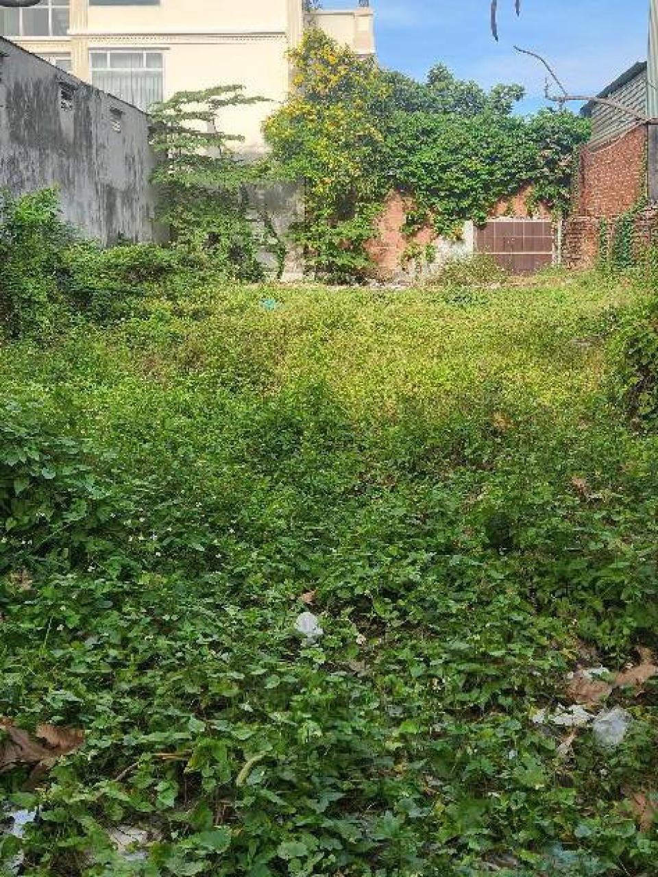 Bán đất vườn Lài quận 12 262m2 giá chỉ 19.65 tỷ có sổ hồng