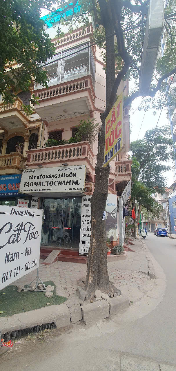 Bán nhà biệt thự liền kề phố Nguyễn Cảnh Dị Hoàng Mai Hà Nội diện tích 53m² phù hợp kinh doanh