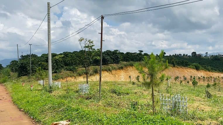 Bán đất 620m2 tại Đường 415, Minh Quang, Ba Vì, Hà Nội, giá 1,8 tỷ