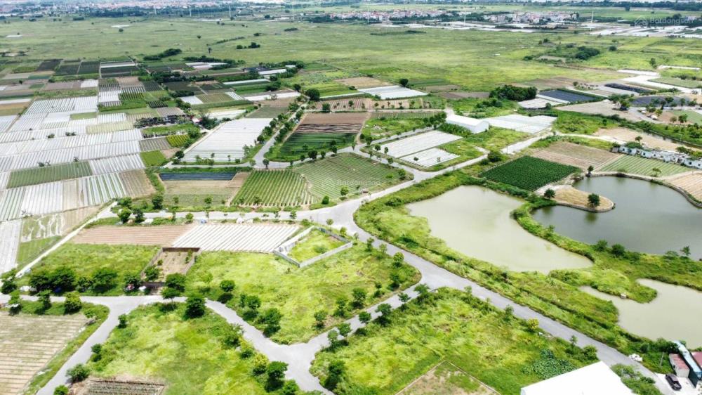 Quỹ chuyển nhượng cienco 5 mê linh giá tốt nhất thị trường