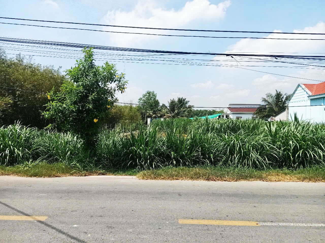 Bán đất thổ cư 153m2 đường Đỗ Đăng Tuyển xã An Nhơn Tây Củ Chi nhiều tiện ích