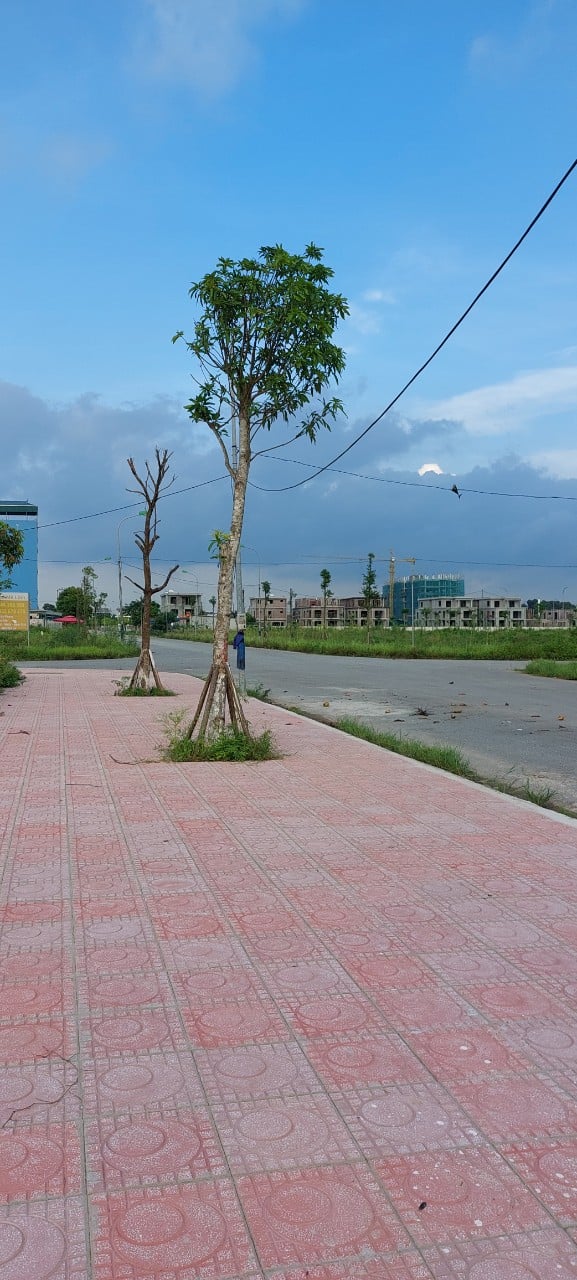 Bán đất nền dự án 300m2 tại khu A Cienco5 Mê Linh
