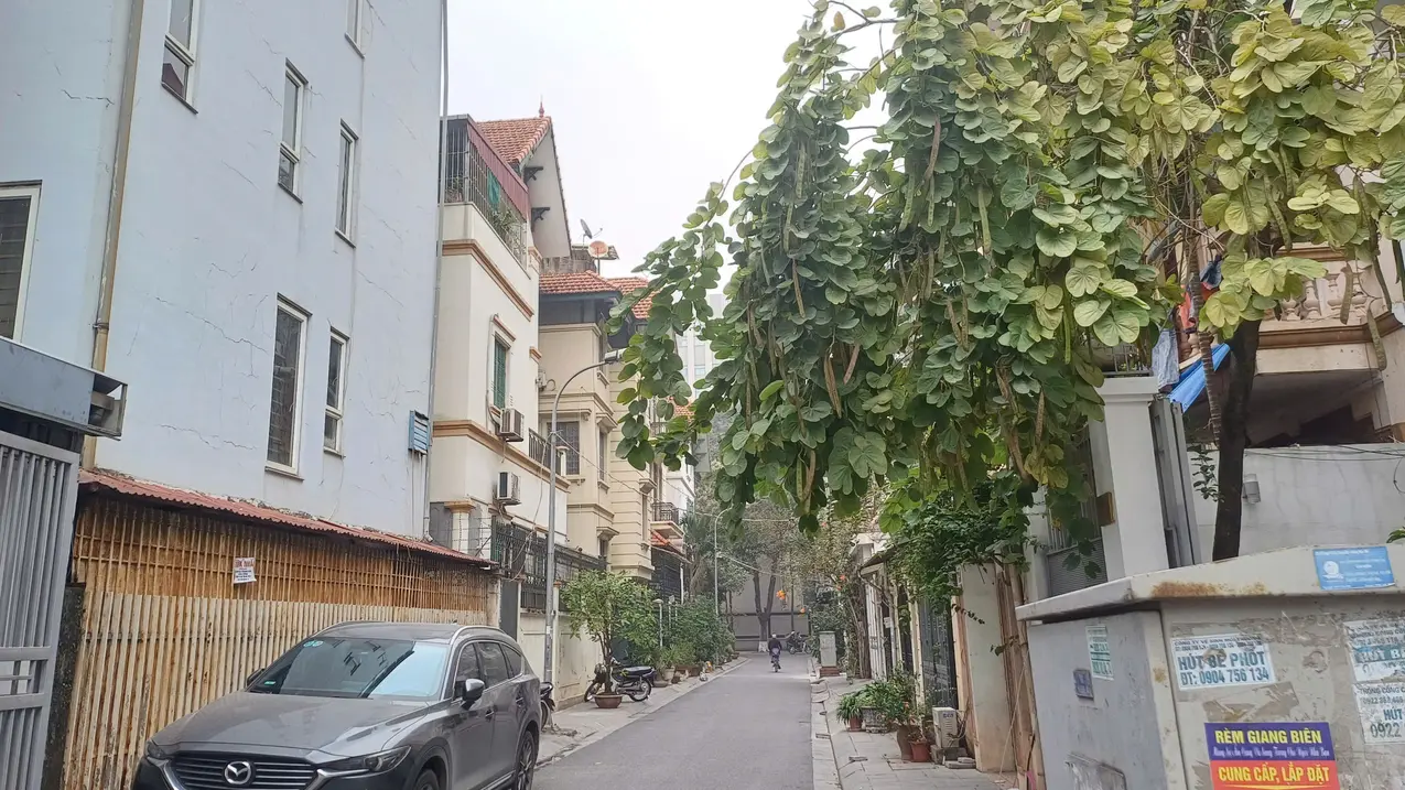 Siêu phẩm kđt Định Công – nhà đẹp, vị trí vàng, kinh doanh đỉnh – doanh thu 50tr/tháng