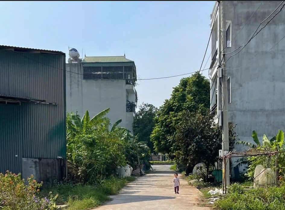 Bán đất 100m2 đường Nguyễn Thị Định, Phú Hưng, Bến Tre, có sổ hồng riêng, giá chỉ 425 triệu