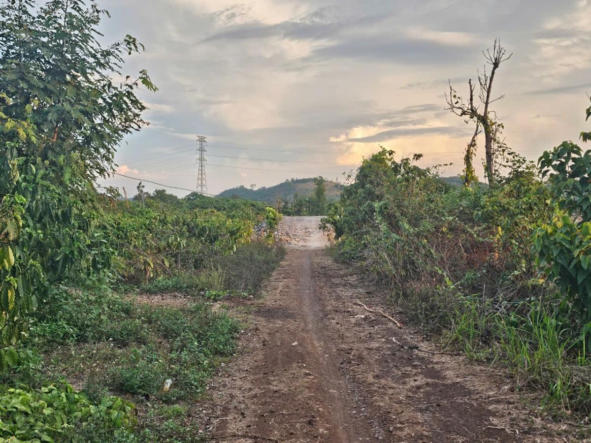 Bán Đất lô góc Đông Dư, 75m², ngõ thông, đường ô Tô Tránh, giá 6,5 Tỷ