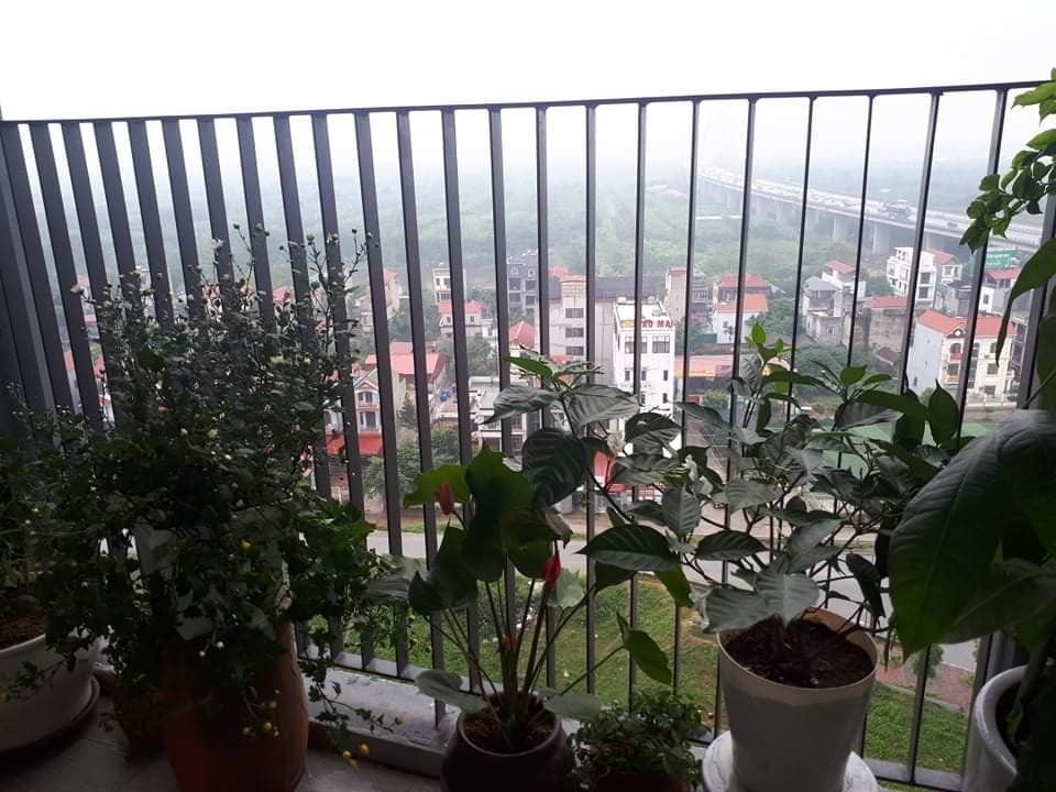 Cho Thue CC Lâu Dài ,vào ở Ngay