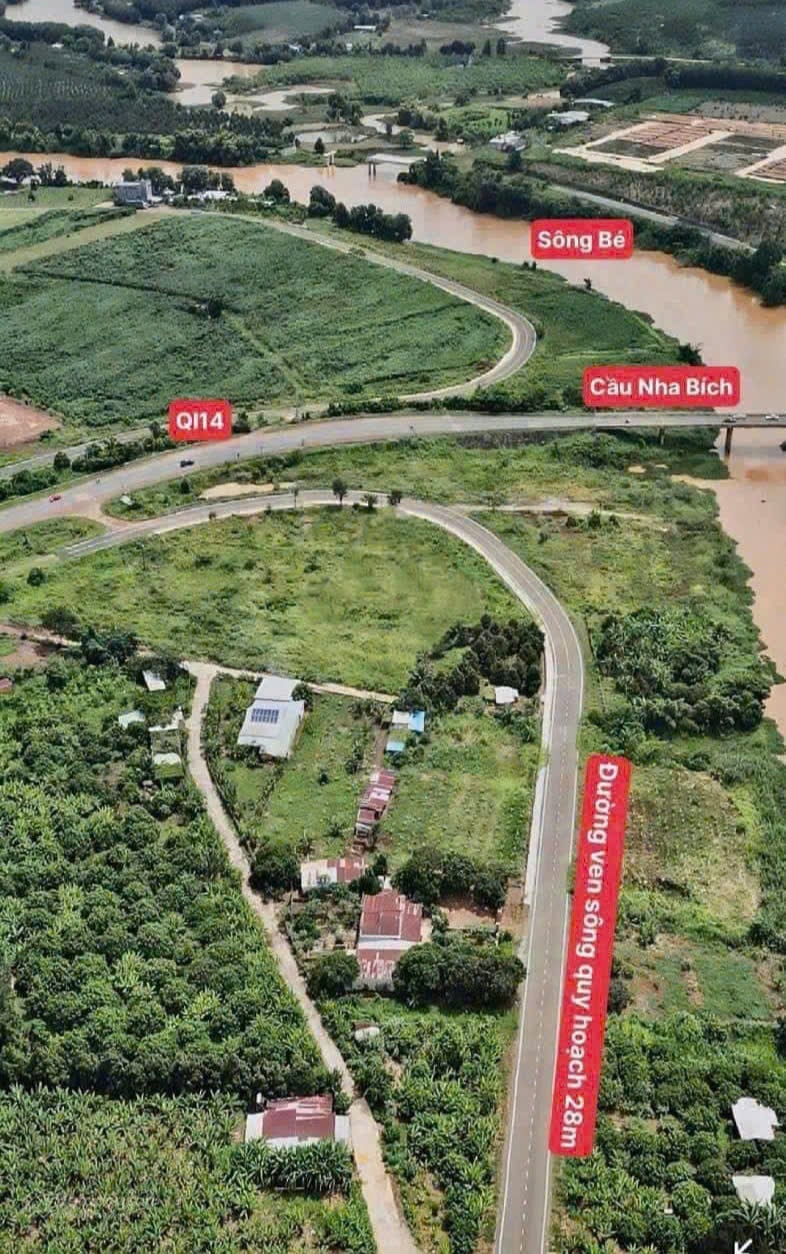 Cần bán mảnh vườn tâm huyết 1042m², ngay cầu Nha Bích, Chơn Thành, kế KCN, giá 175 triệu