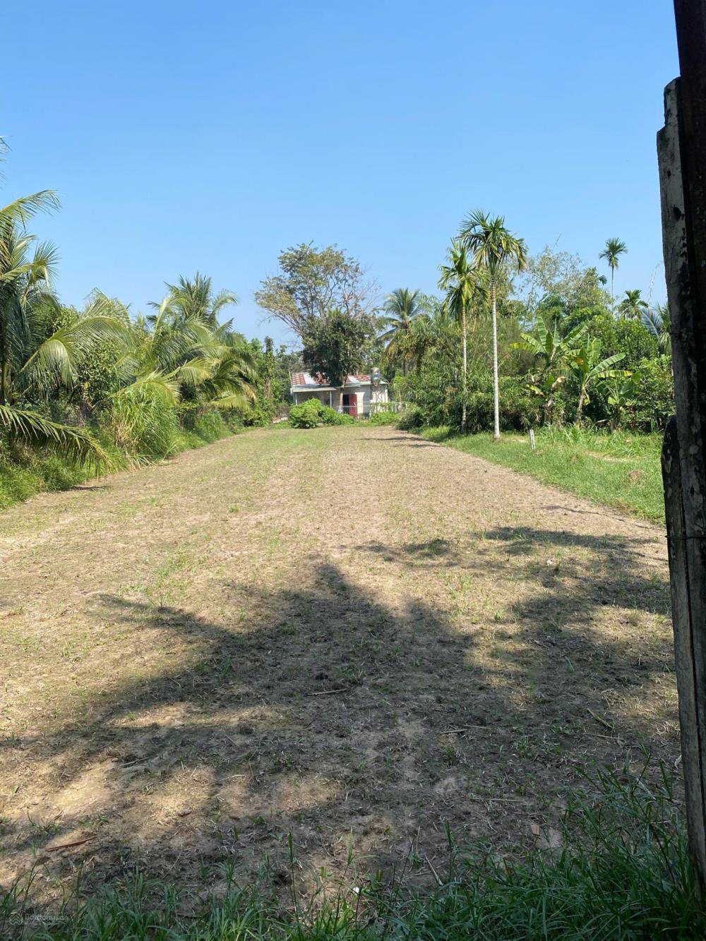 Bán đất 2207m2 ở xã Tân Hưng, huyện Hớn Quảng, Bình Phước, giá chỉ 190 triệu