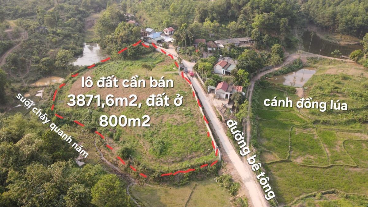 Bán đất 3871m2 xã Cư Yên, Huyện Lương Sơn, Hòa Bình, giá chỉ 2tr/m2