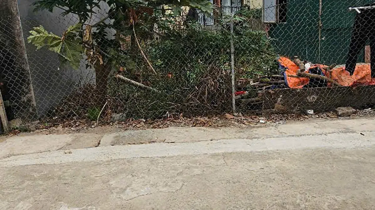 Mua Bán Đất 110m² Đường 21 Tân Xã Hà Nội Tiềm Năng Sinh Lời Cao