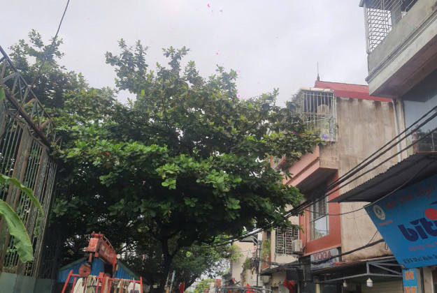 Bán nhà riêng 42m² Miêu Nha, Tây Mỗ, Nam Từ Liêm, Hà Nội gần chợ, trường học