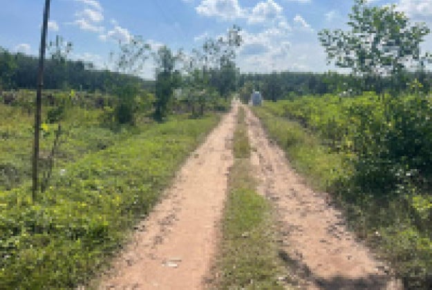 Bán đất 1,467m2 mặt tiền 32m ấp Đường Long, Gò Dầu, Tây Ninh tiềm năng