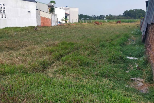 Bán lô đất mặt đường Phong Quang, Đại Đồng, Kiến Thụy, đối diện Vinhomes Dương kinh