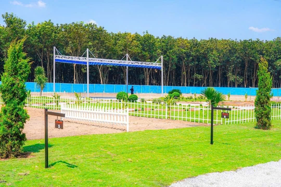 Bán đất diện tích 389m² Chánh Phú Hòa, Bến Cát, Bình Dương, đường nhựa 22m chính chủ