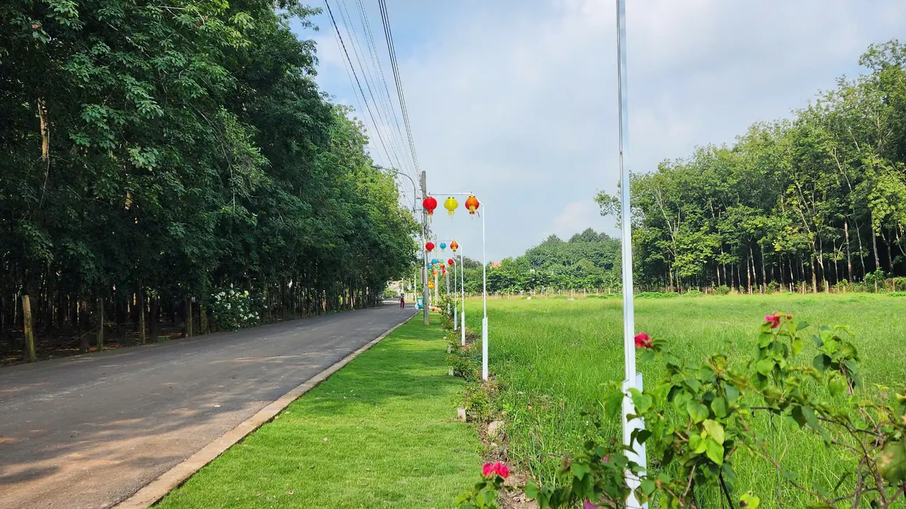 Cần bán đất 250m2 tại đường DH 750 Tân Long Bình Dương giá 850 triệu
