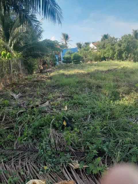 Bán 600m2 đất thổ cư, nhà vườn thôn 9, xã Ba Trại, Ba Vì, Hà Nội, giá 1,6 tỷ