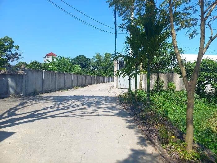 Bán đất 81m2 tại Mỹ Hưng, Thanh Oai, Hà Nội, vị trí đắc địa