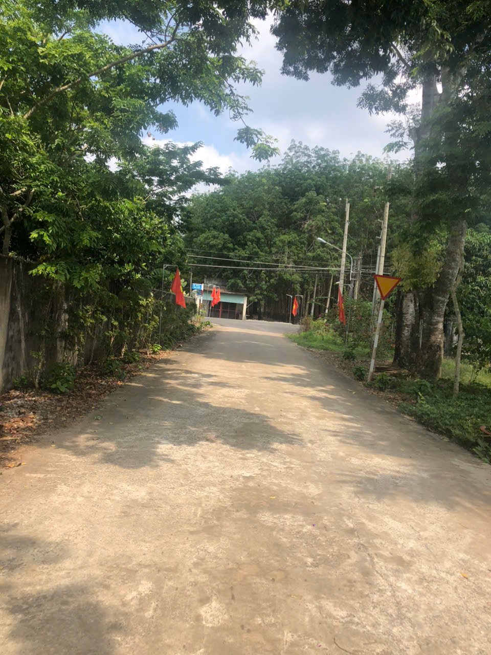 Bán đất nền dự án 250 m2 xã An Thái, huyện Phú Giáo, Bình Dương giá 690 triệu