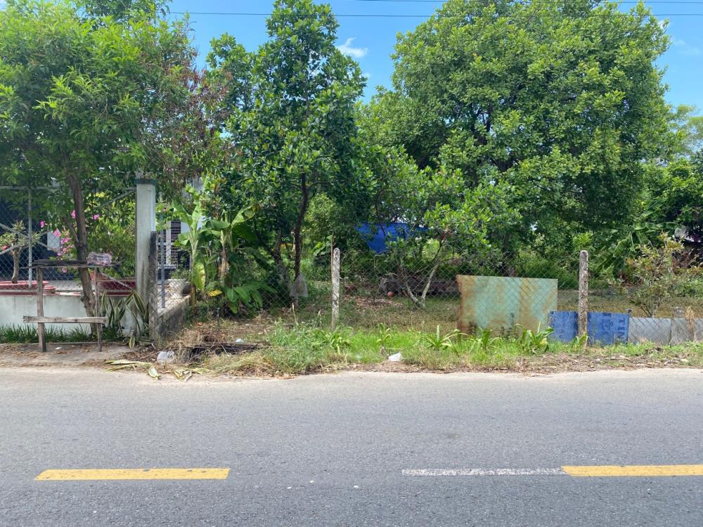 Bán đất 2.800m2 mặt tiền chợ Quang Minh, Chơn Thành, Bình Phước tiện kinh doanh