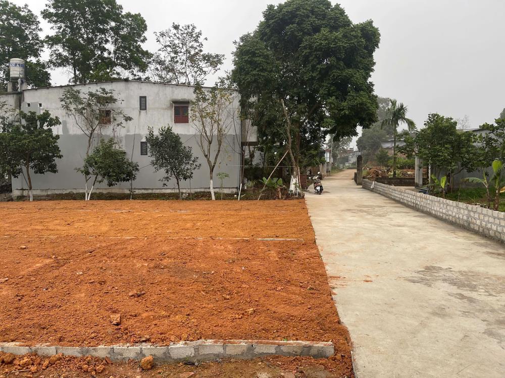 Bán lô đất nền 129m² TDP Gô, TT Kim Long, Tam Dương, Vĩnh Phúc giá 777 triệu