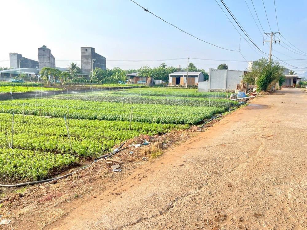 thuviennhadat.vn