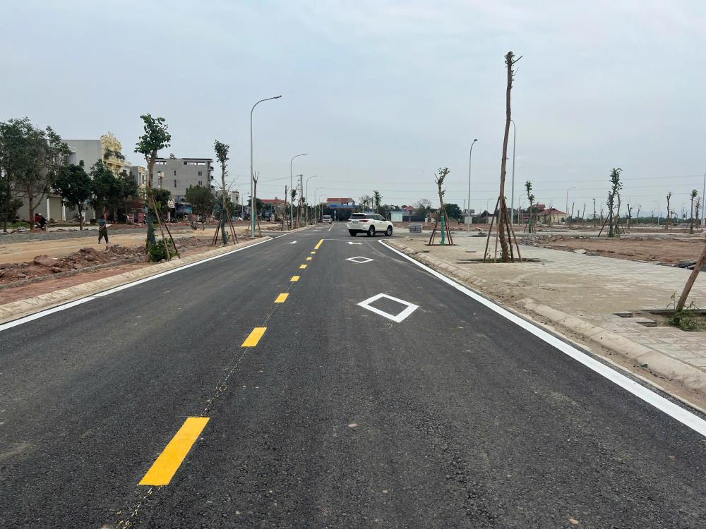 Bán đất nền dự án 80m2 mặt đường DT295 xã Tân Hưng huyện Lạng Giang Bắc Giang giá chỉ 2 tỷ