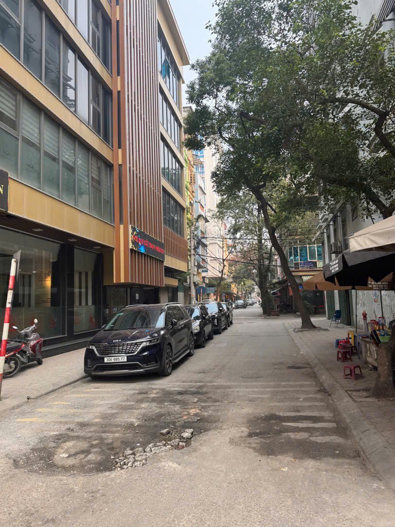 Bán nhà riêng 61 m2 tại đường Nguyễn Cảnh Dị, Hoàng Mai, Hà Nội, phù hợp kinh doanh