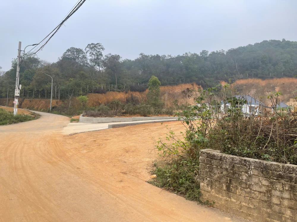 Bán nhà riêng 203m2 xã Xuân Sơn, Sơn Tây, Hà Nội gần các tiện ích