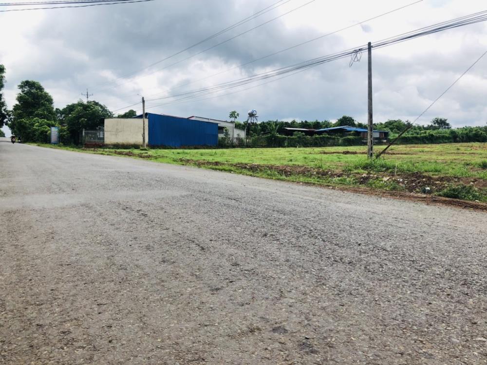 Bán đất thổ cư 1250m2 tại chợ Minh Tâm, Huyện Hớn Quảng, Bình Phước giá 220 triệu