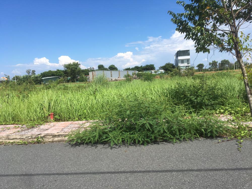 Chuyên bán tất cả các vị trí đẹp dự án Mega City 2, Nhơn Trạch, giá tốt cho nhà đầu tư
