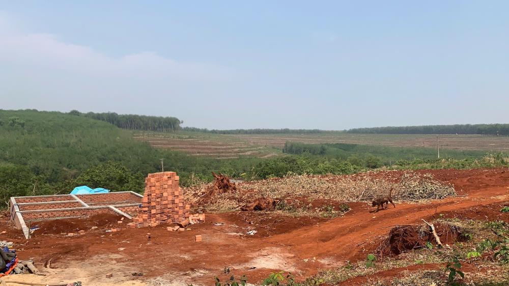 Bán lô đất giá rẻ tại thị trấn Chơn Thành Bình Phước diện tích 525m² sổ riêng