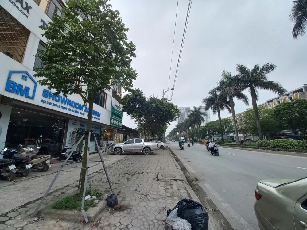 thuviennhadat.vn