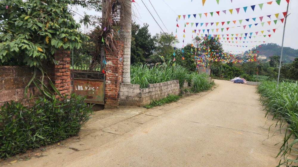 Bán đất 600m2 mặt đường Liên xã, xã Tản Lĩnh, huyện Ba Vì, Hà Nội, đầu tư sinh lời