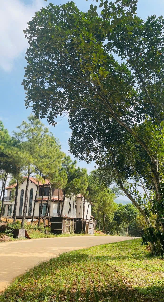 Bán biệt thự 280m2 xã Ngọc Thanh, Phúc Yên, Vĩnh Phúc, thiết kế hiện đại