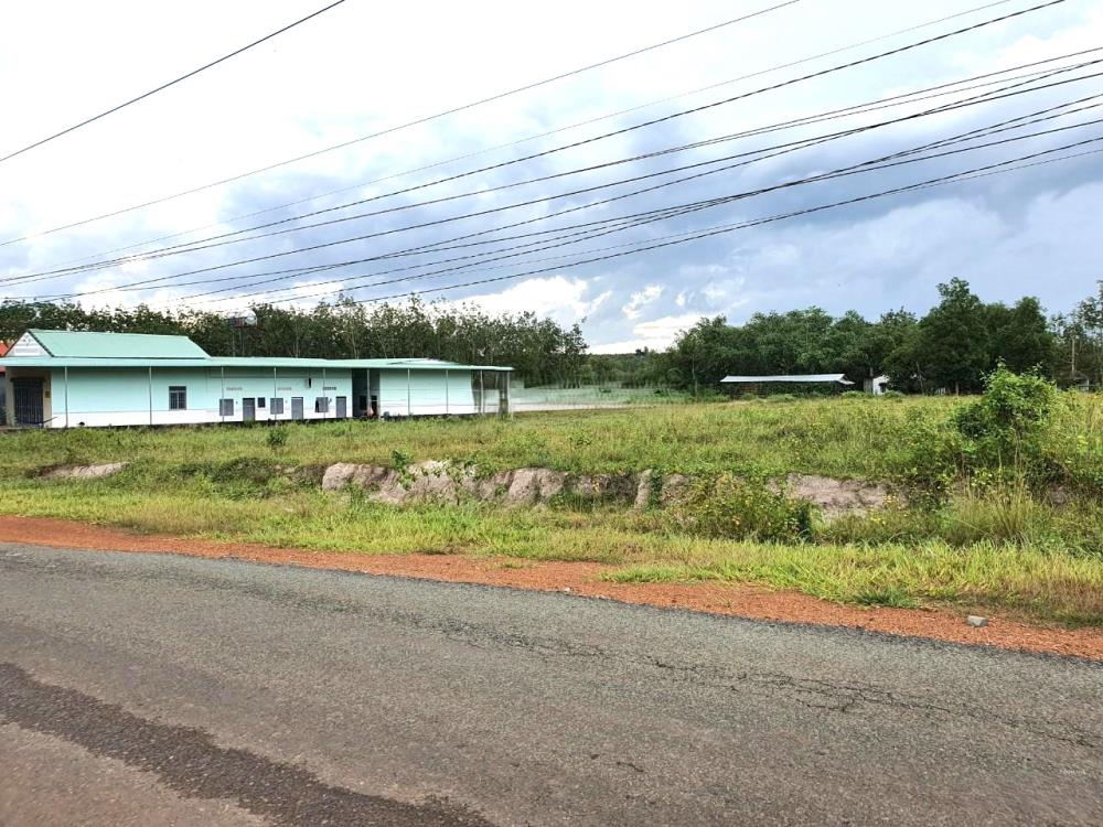 Bán đất 1.250m2 tại ĐT, xã Quang Minh, huyện Chơn Thành, Bình Phước, gần chợ và trường học