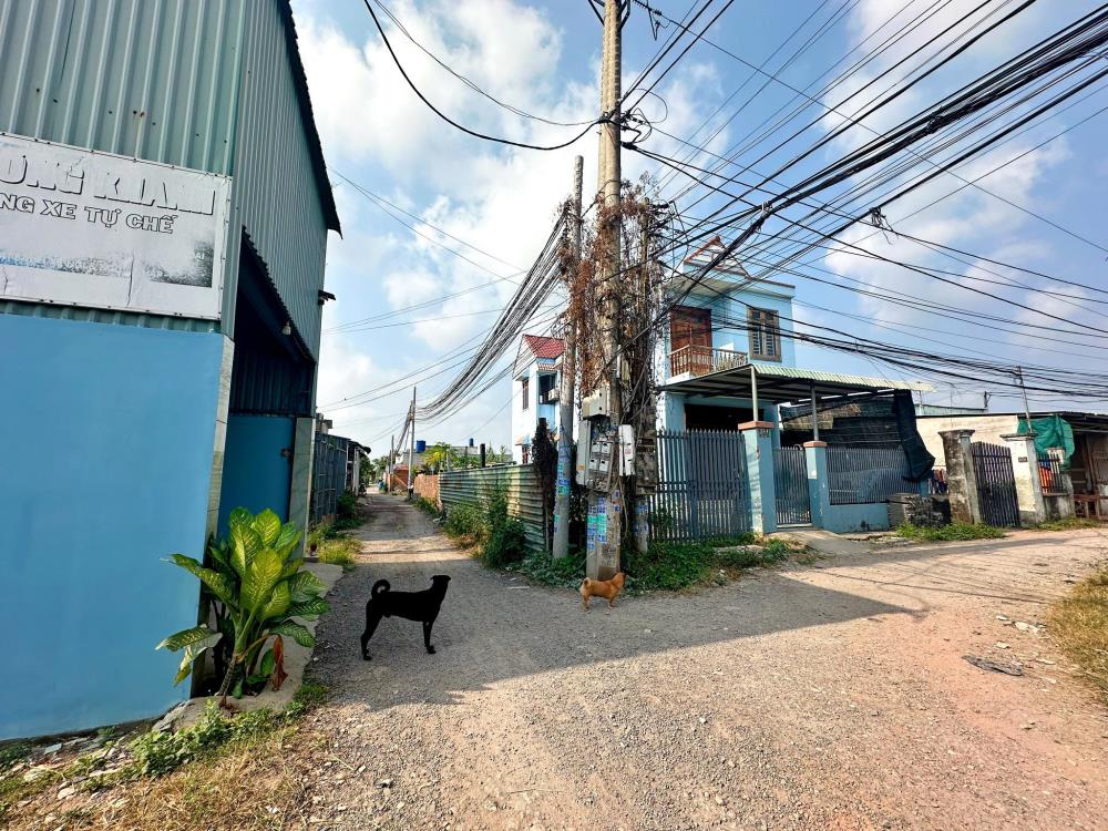 Bán đất thổ cư 209m2 Tỉnh Lộ 2 Củ Chi Hồ Chí Minh gần tiện ích