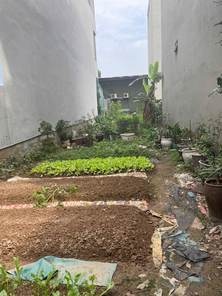 Bán đất 81m2 tại Làng Phú Đô, Nam Từ Liêm, đường ô tô gần giá 13,3 tỷ