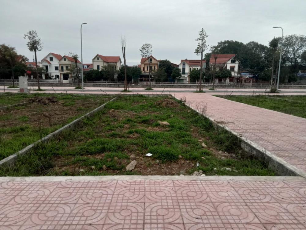 Bán đất nhà riêng 105m2 Xã Đông La, Huyện Hoài Đức, Hà Nội tiện ích tốt