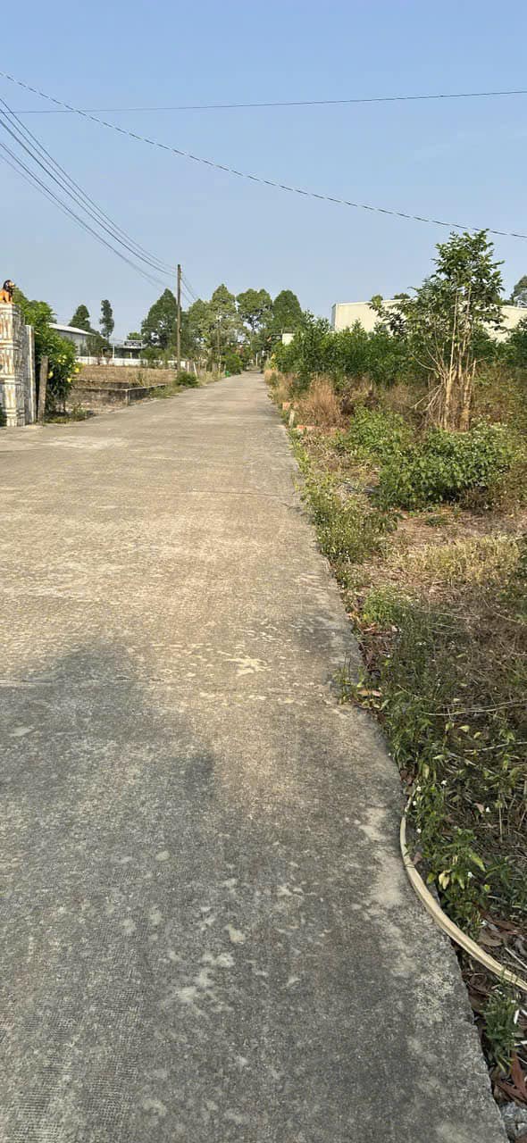 Bán đất thổ cư 100 m2 mặt tiền Thới Tam Thôn Hóc Môn tiện ích đầy đủ