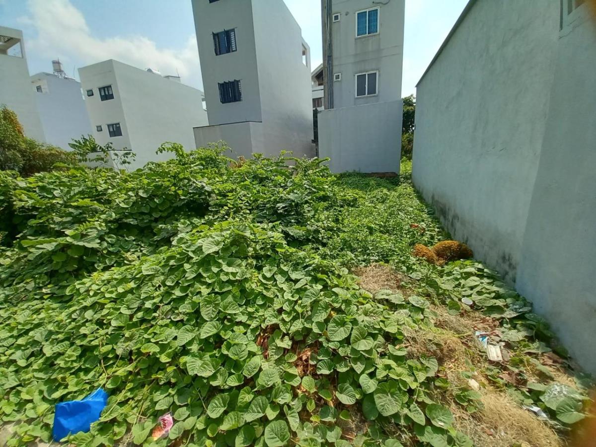Bán đất 81m2 tại Vườn Lài, An Phú Đông, Quận 12, TP.HCM tiện xây dựng tự do