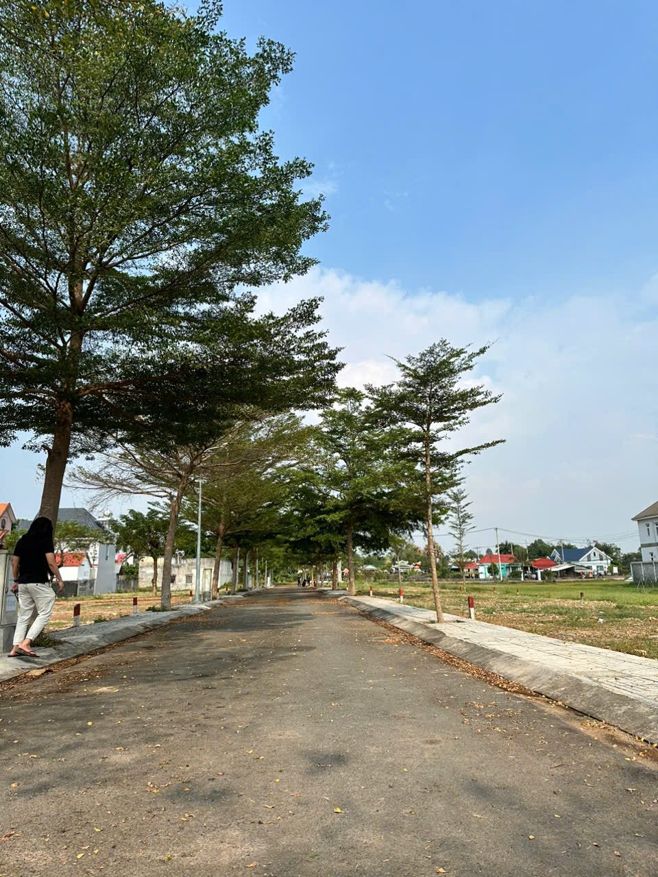 Bán đất tại khu đấu giá Xã Đông Sơn, giá tốt, 113m2, 31,5 triệu/m2