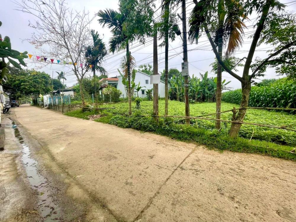 Bán đất nền nhà riêng mặt tiền Lạc Thành Hòa Tiến Đà Nẵng diện tích 140m2 sổ hồng riêng