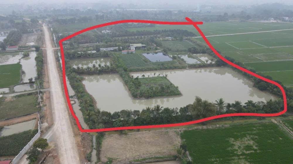 Bán đất 34.856,8m2 mặt tiền 400m xã Bình Định huyện Yên Định Thanh Hóa