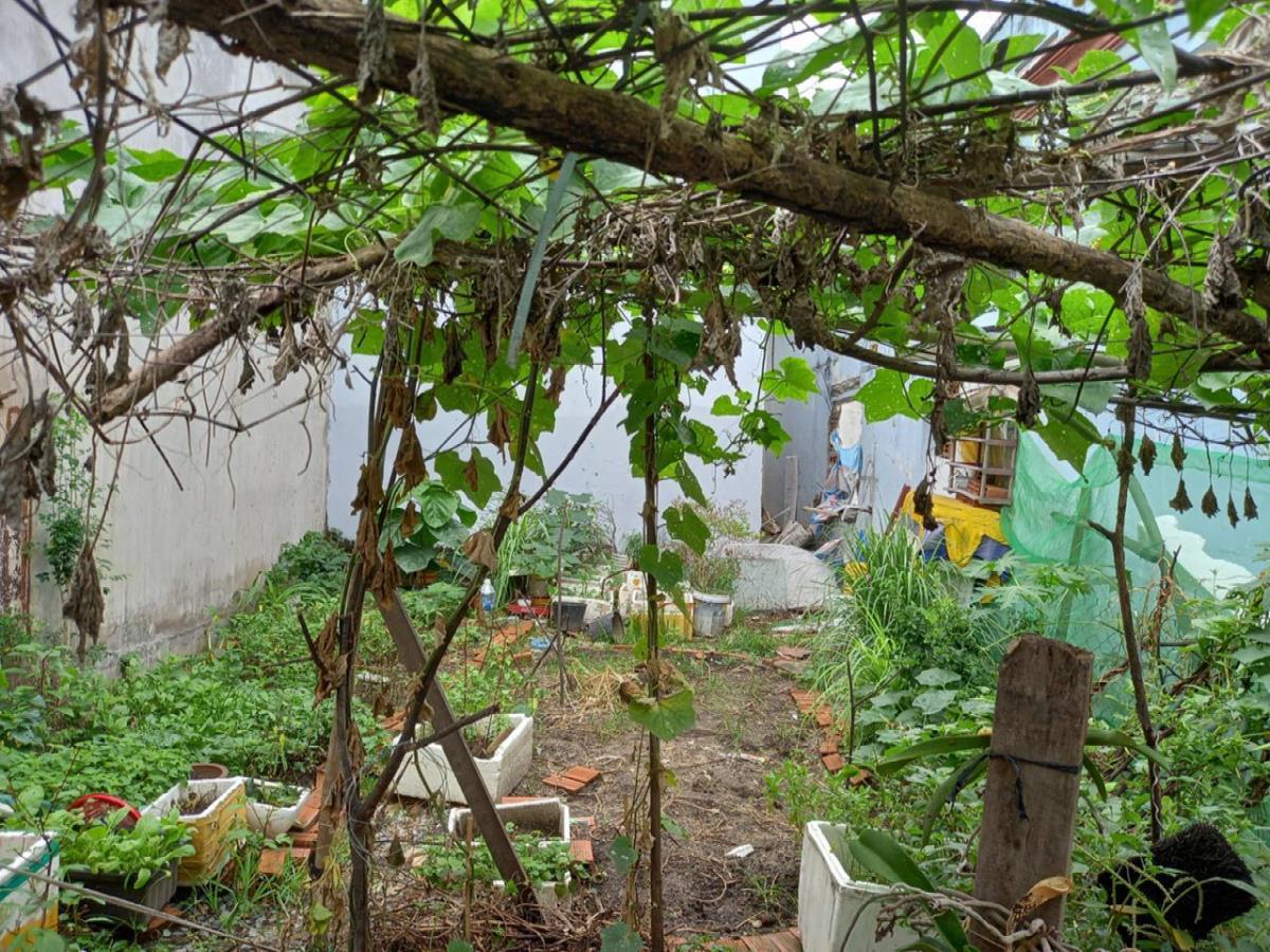 Bán đất An Phú Đông 9 Quận 12 Hồ Chí Minh 70m2 giá 3,3 tỷ