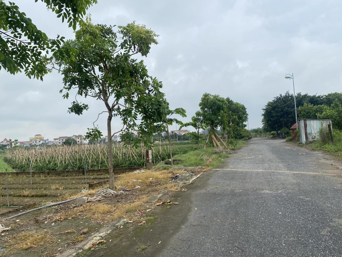 Bán đất nền dự án Tây Đô Ecopark, xã Tân Phú Thạnh, huyện Châu Thành A